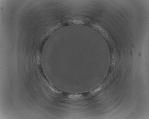 X0000081490465200702021927