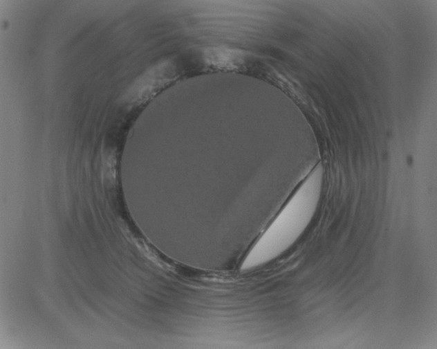 X0000081490466200702021927