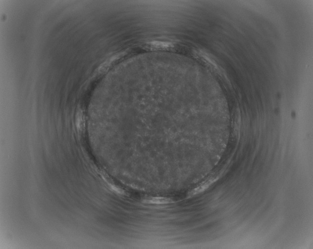 X0000081490467200702021927