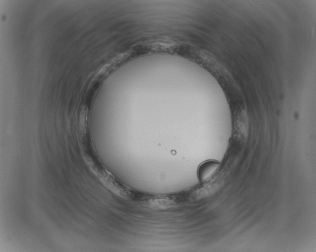 X0000081490468200702021927