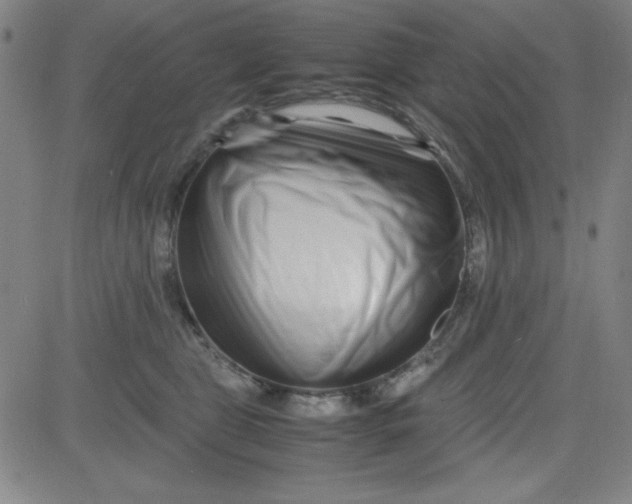 X0000081490469200702021927