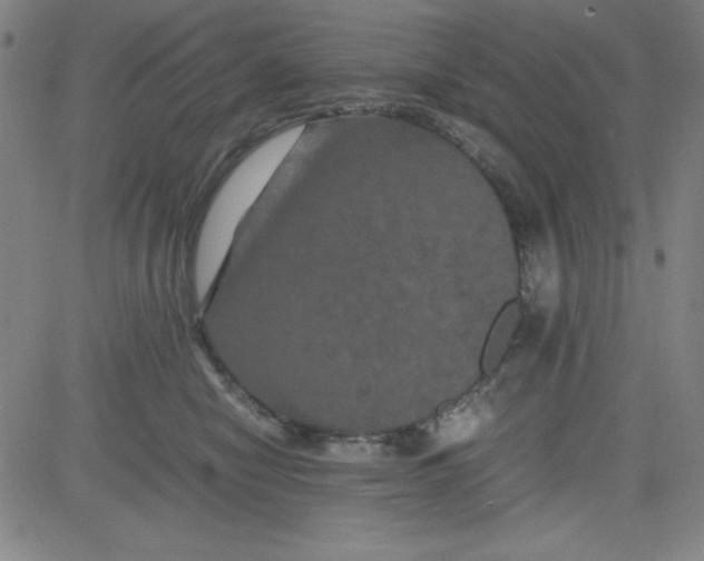 X0000081490470200702021927