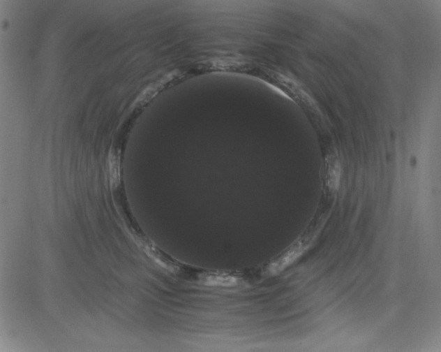 X0000081490471200702021927