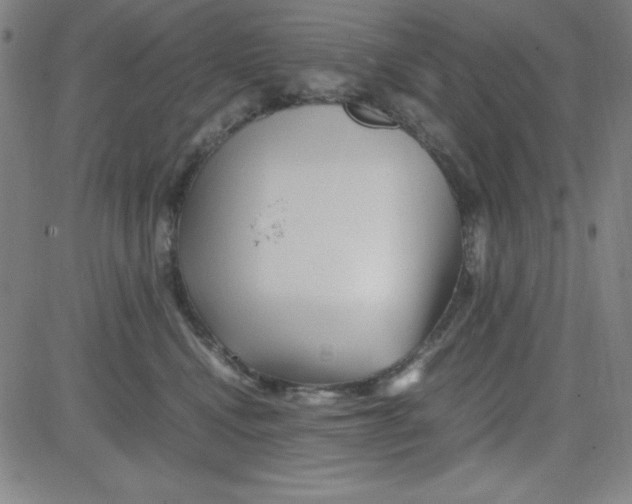 X0000081490472200702021927