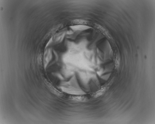 X0000081490473200702021927