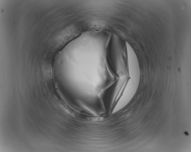 X0000081490474200702021927