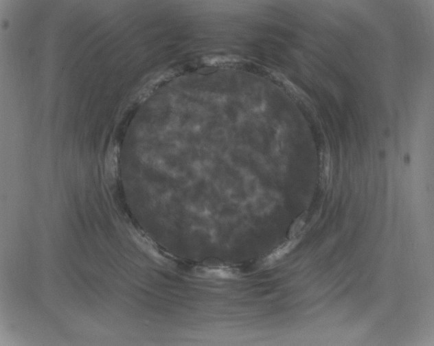 X0000081490475200702021927