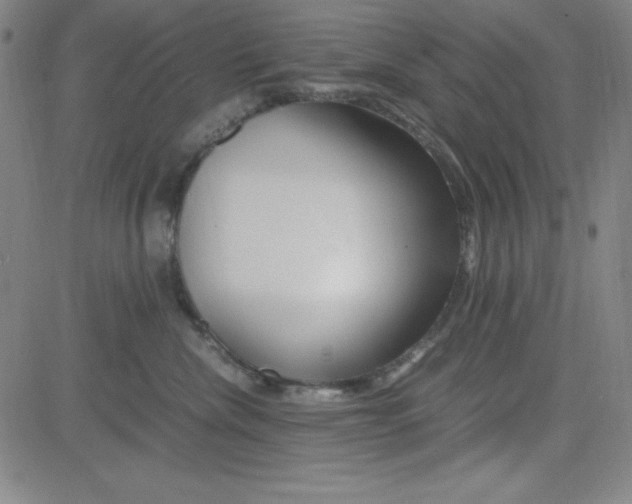 X0000081490476200702021927