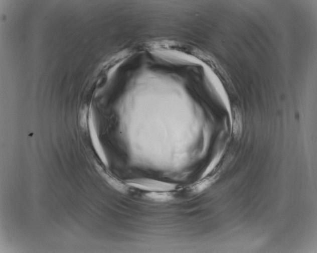 X0000081490477200702021927