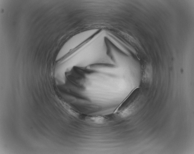 X0000081490478200702021927