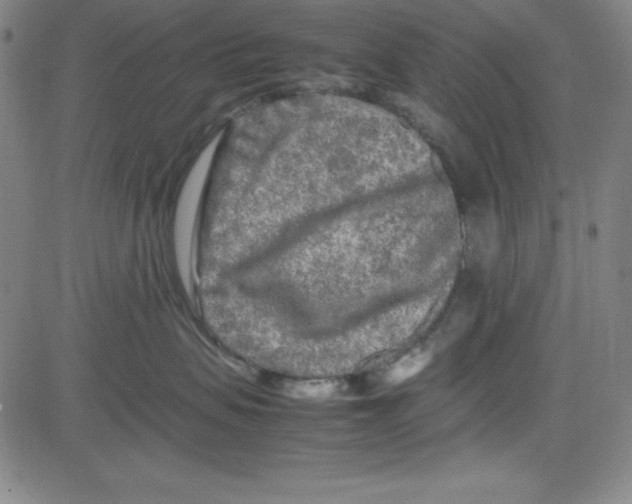 X0000081490479200702021927