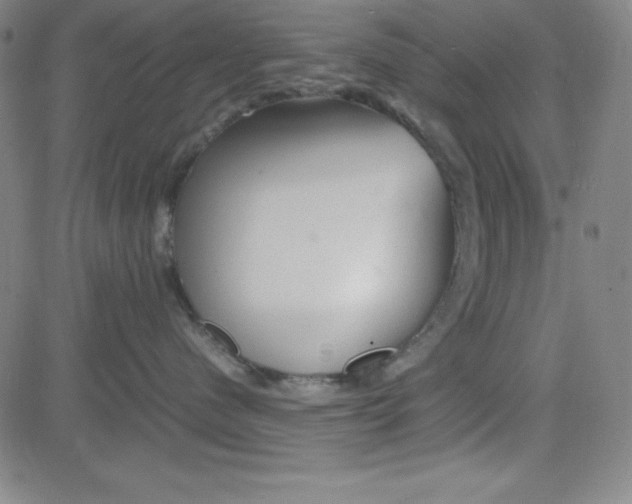 X0000081490480200702021927