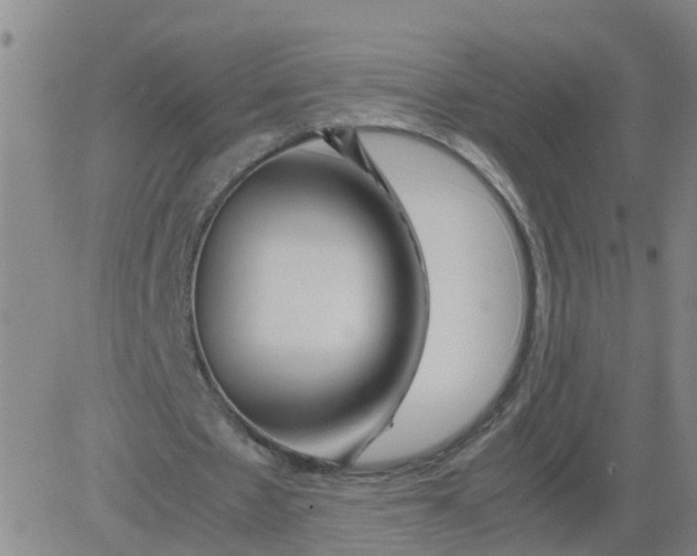 X0000081490481200702021926