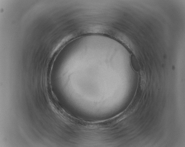 X0000081490482200702021926