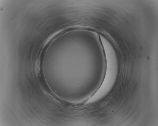 X0000081490484200702021926