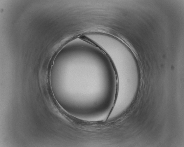 X0000081490485200702021926