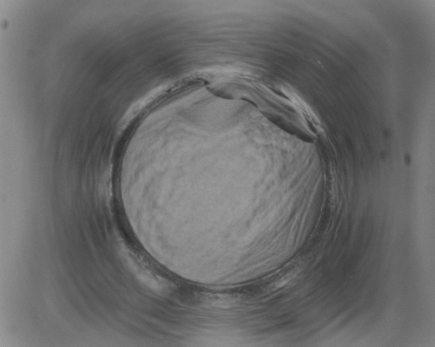 X0000081490486200702021926