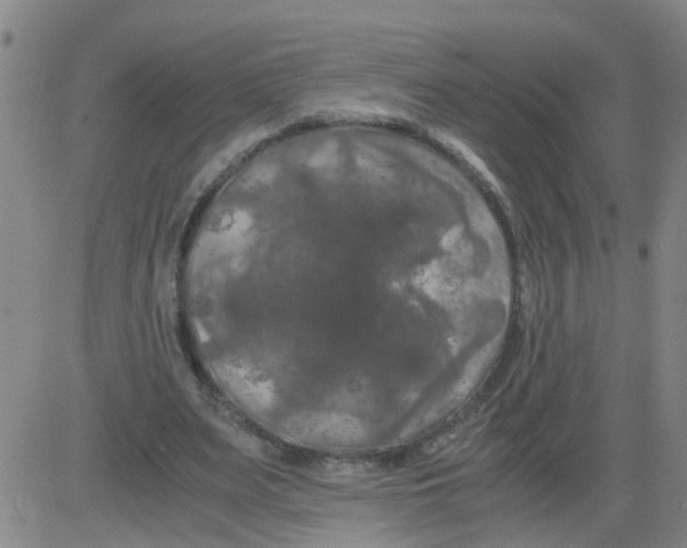 X0000081490487200702021926