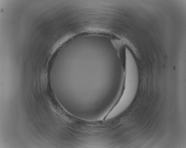 X0000081490488200702021926