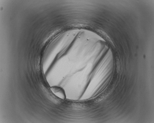 X0000081490490200702021926