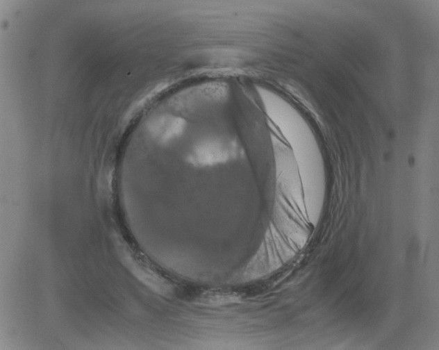 X0000081490491200702021926