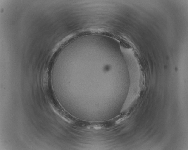 X0000081490492200702021926