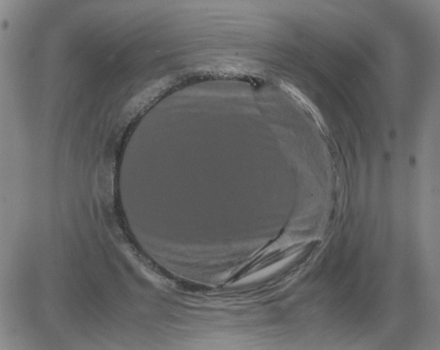 X0000081490493200702021926