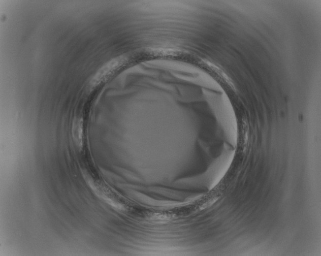 X0000081490494200702021926