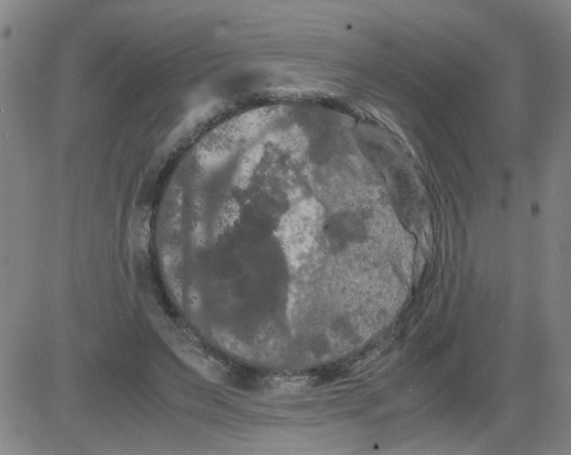 X0000081490495200702021926