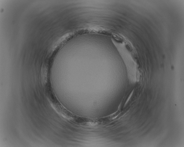 X0000081490496200702021926