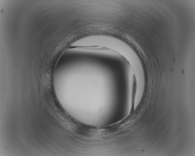 X0000081490497200702021926