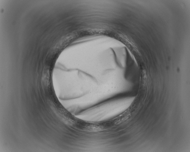 X0000081490498200702021926