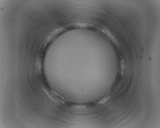 X0000081490500200702021926