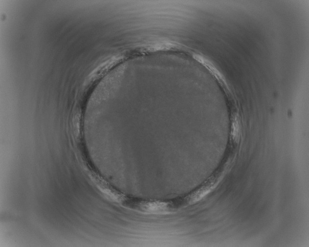 X0000081490501200702021926