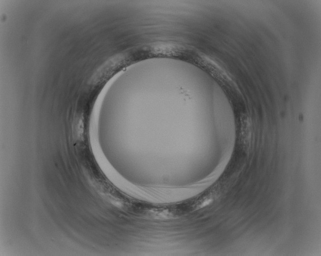 X0000081490502200702021926