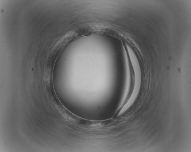 X0000081490505200702021926