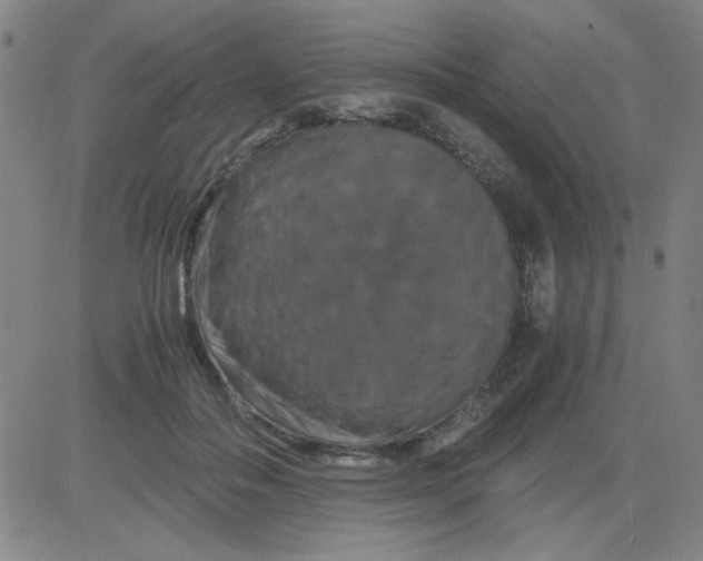 X0000081490506200702021926