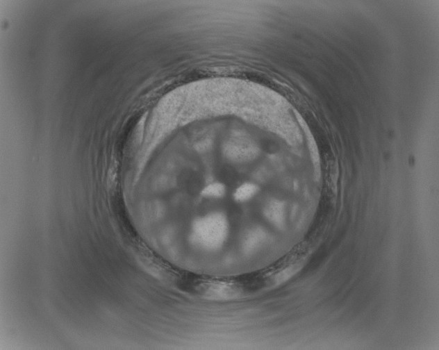 X0000081490507200702021926