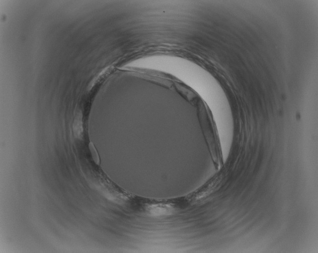 X0000081490508200702021926