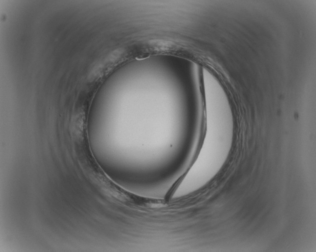 X0000081490509200702021926