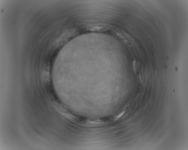 X0000081490510200702021926