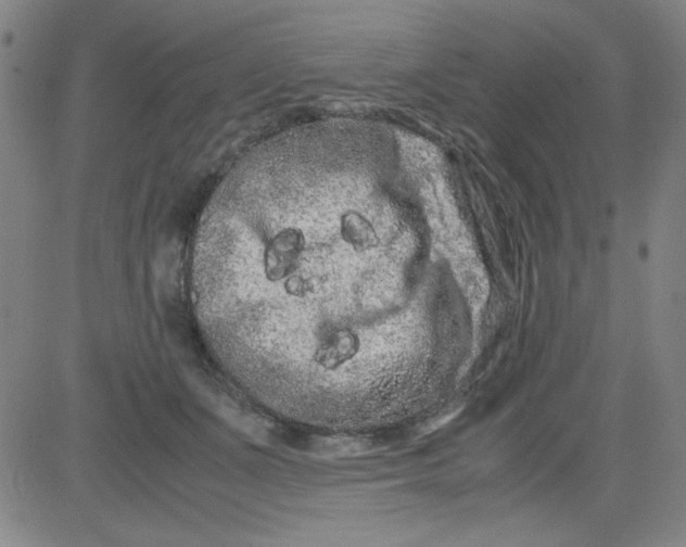 X0000081490511200702021926