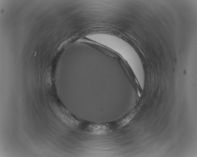 X0000081490512200702021926