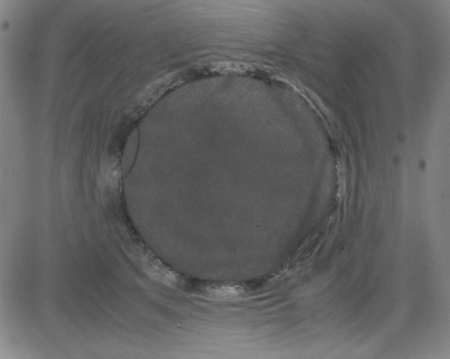 X0000081490513200702021926