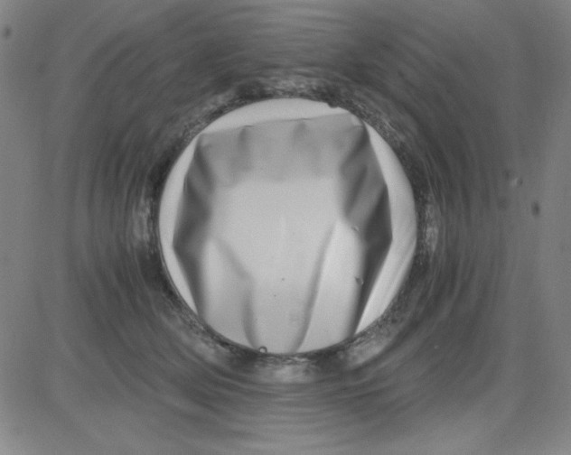 X0000081490514200702021926