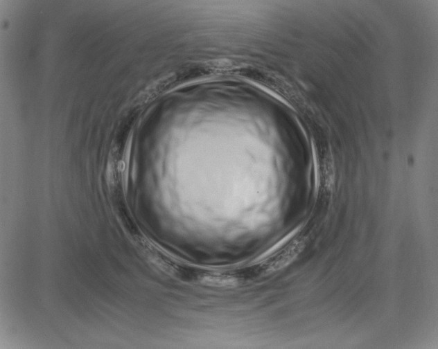 X0000081490515200702021926