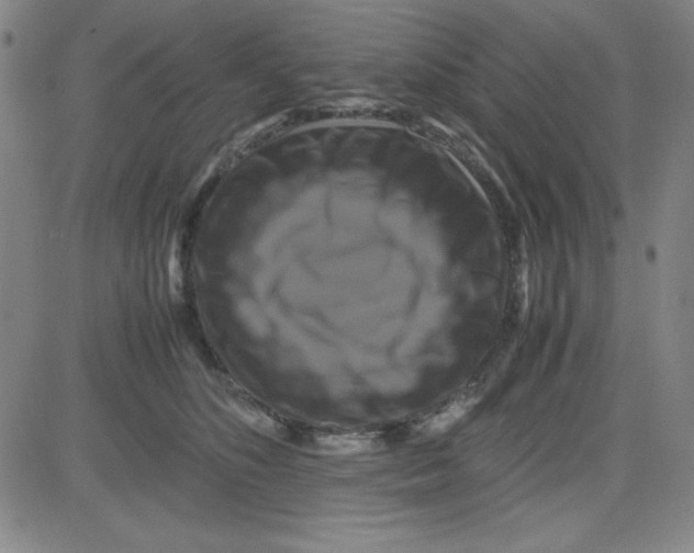 X0000081490516200702021926