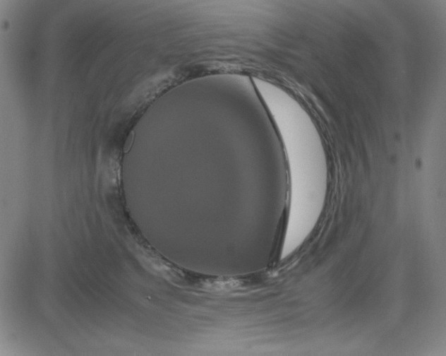 X0000081490517200702021926