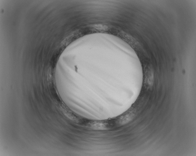 X0000081490518200702021926