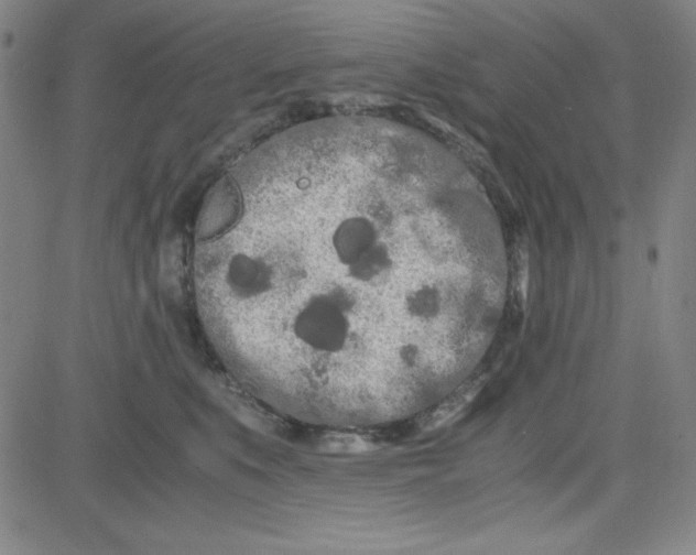 X0000081490519200702021926